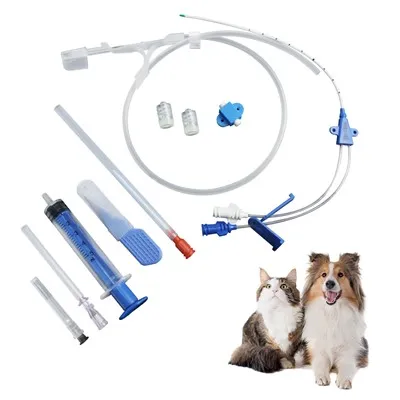 Conjunto de catéter venoso central animal